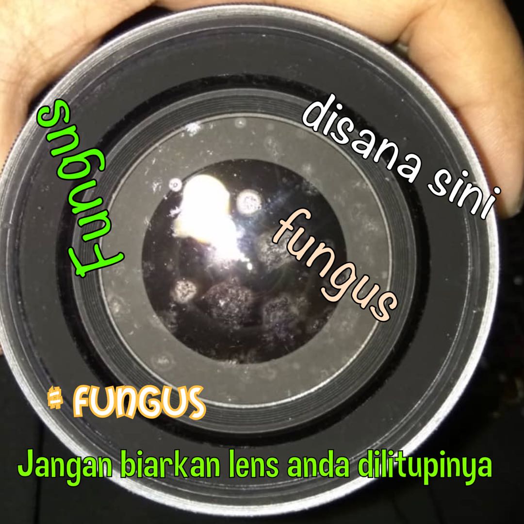 SERVIS KAMERA DSLR, Photography, Cameras on Carousell