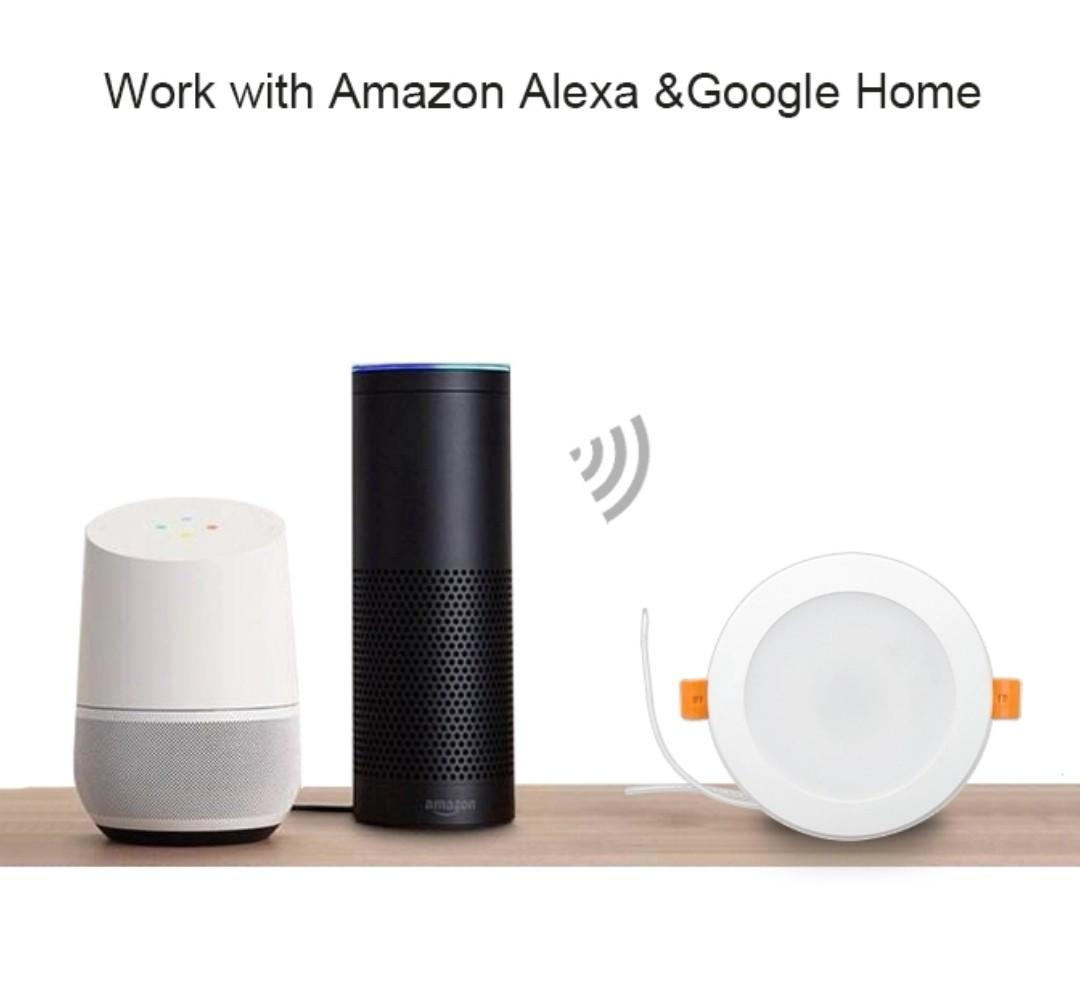 amazon echo diameter