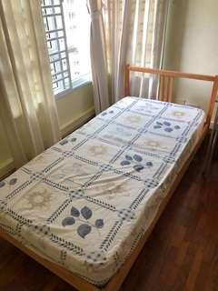 Single bed (firm mattress + IKEA bed frame)