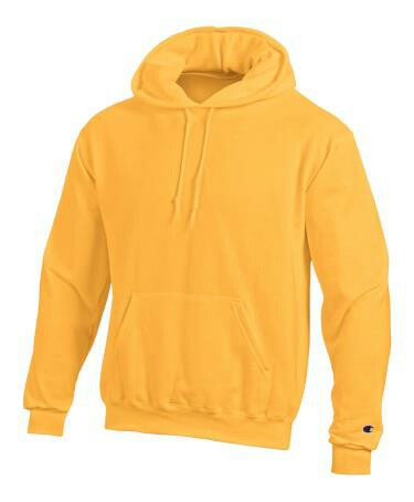 champion eco fleece hoodie