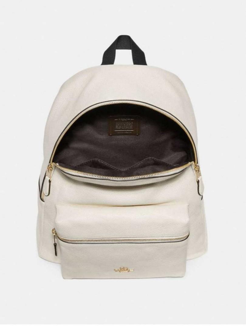 Coach Brand New Bagpack F29004 Price negotiable