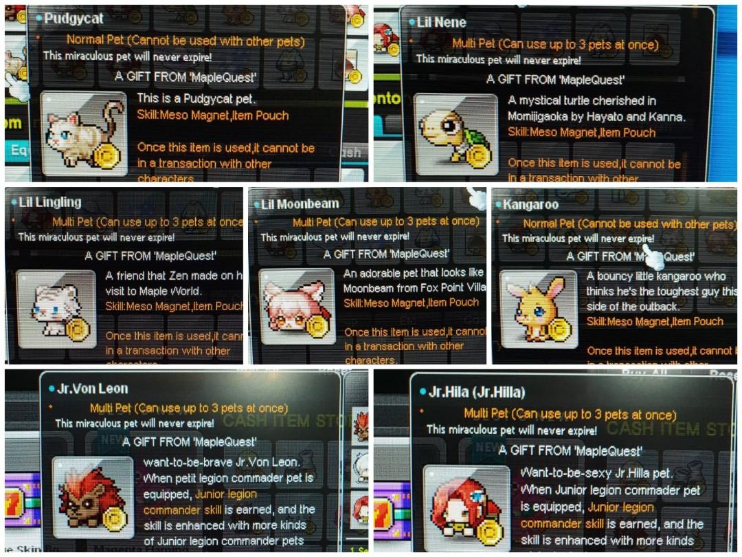 Maplestory Hilla Pet Permanent irenemontero