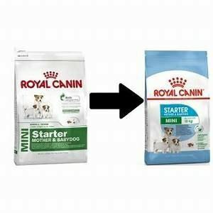Royal Canin Mini Starter Mother Baby Dog 1kg Pets Supplies Pet Food On Carousell