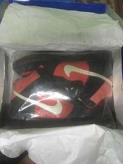 NIKE DUNK HIGH PRO SB