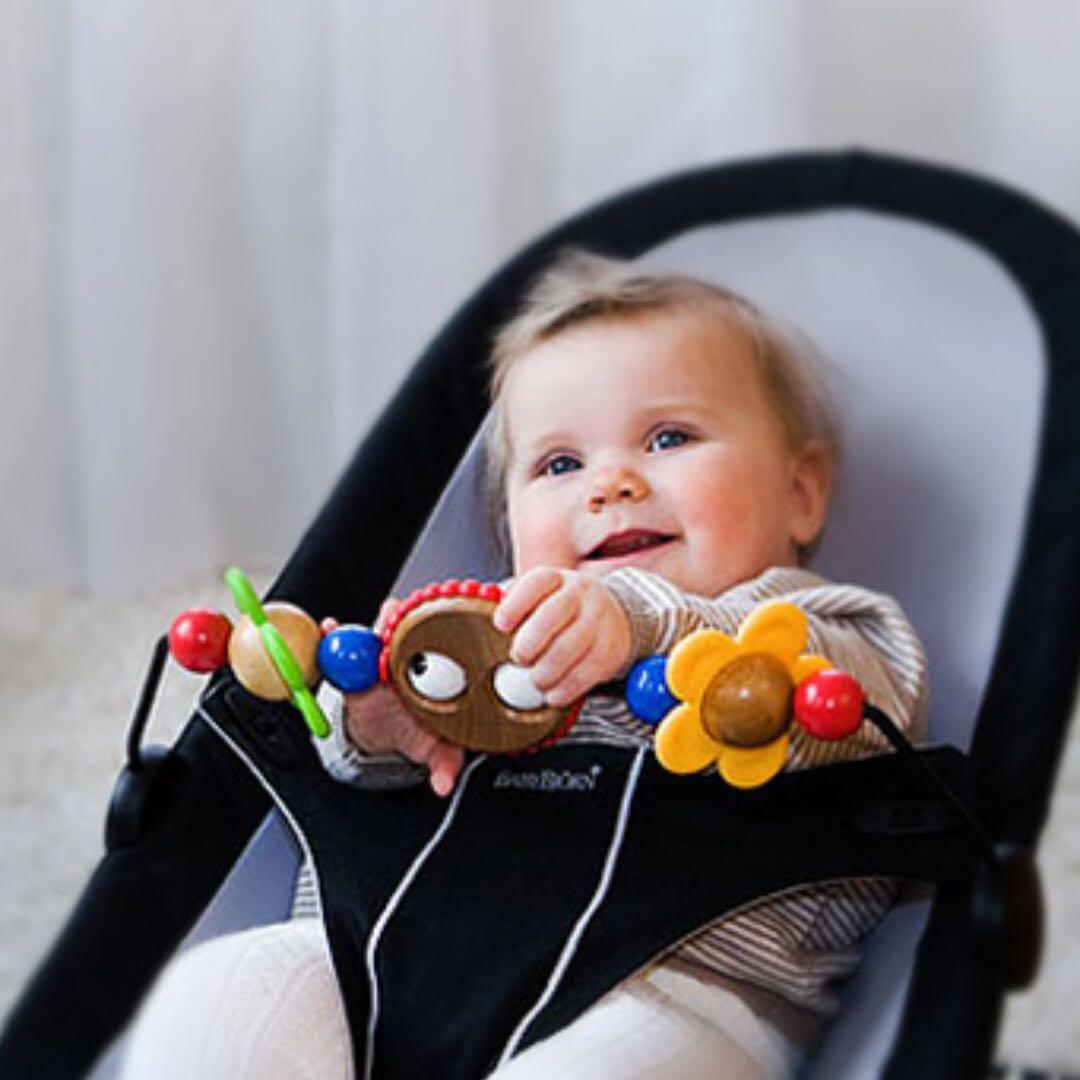 baby bjorn toys