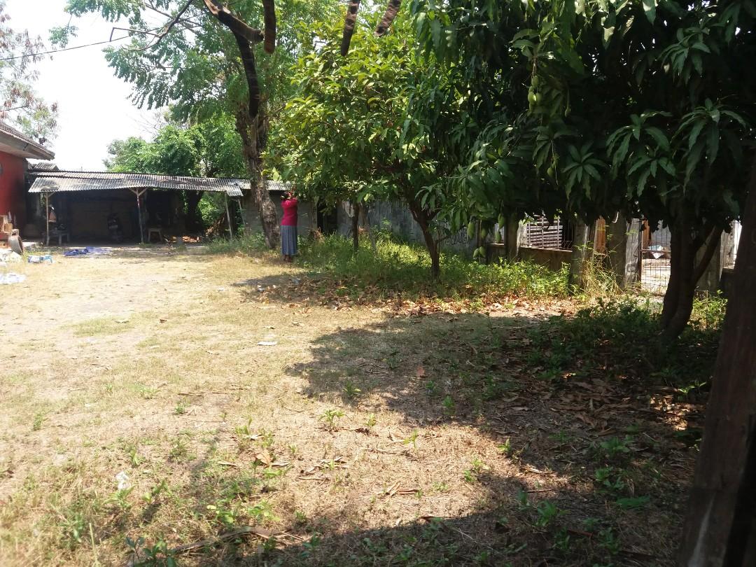 Tanah 1000 Meter Dijual di Carousell