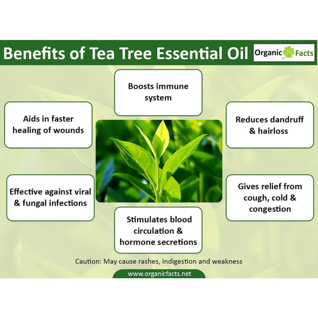 Australian Tea Tree Essential Oil (Certified Pure Organic)