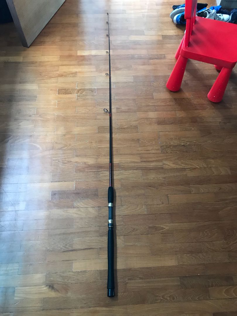 Wts custom fishing rod( spinning), Everything Else on Carousell