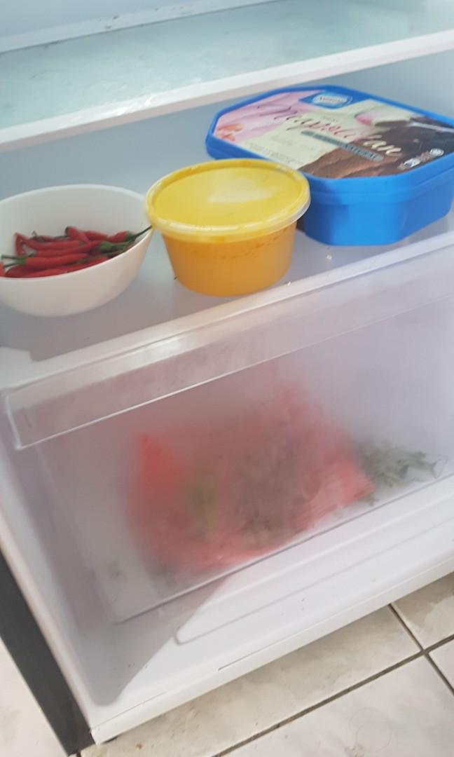 Auto defrost fridge, TV & Home Appliances, Kitchen Appliances