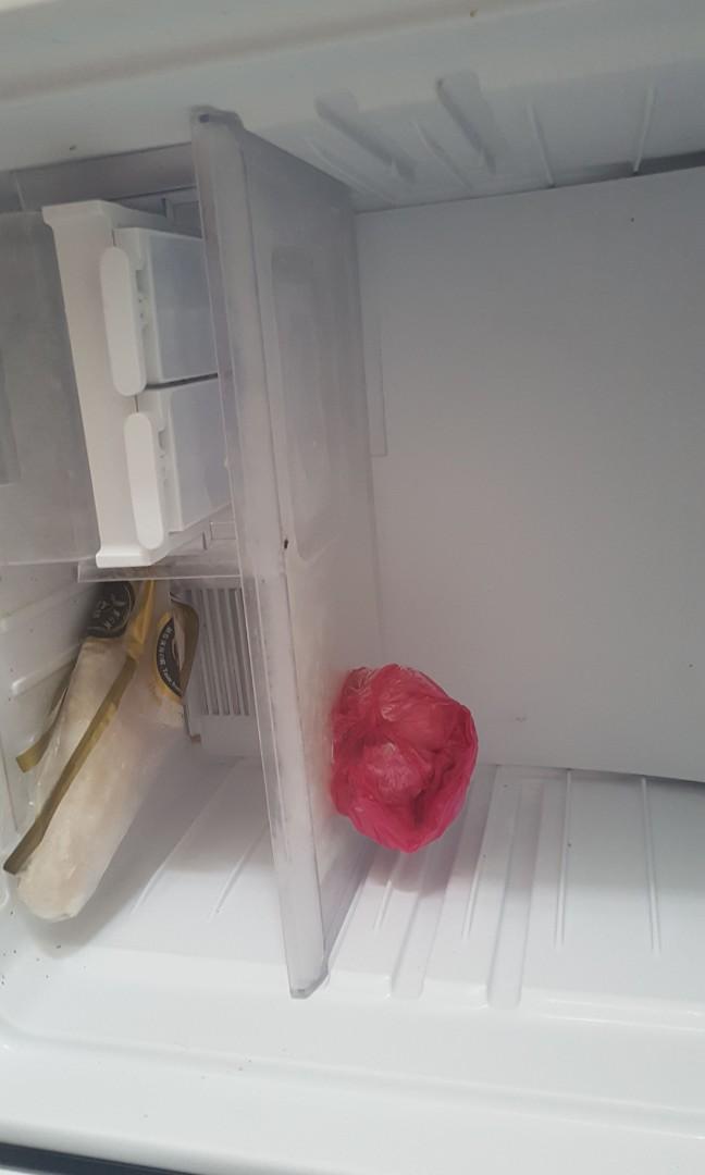 Auto defrost fridge, TV & Home Appliances, Kitchen Appliances