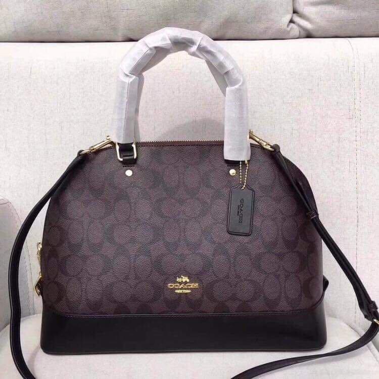 Dome coach bag 2025