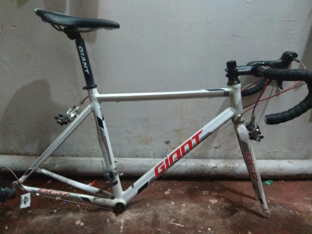Giant SCR Frameset and Claris Groupset 