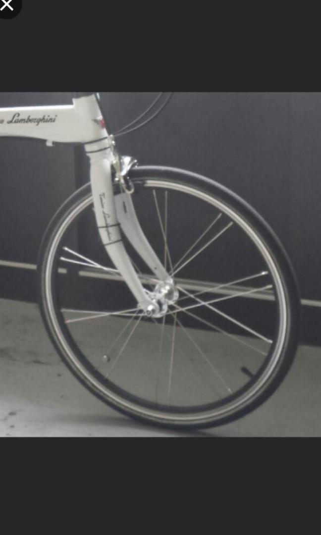 lambo bicycle