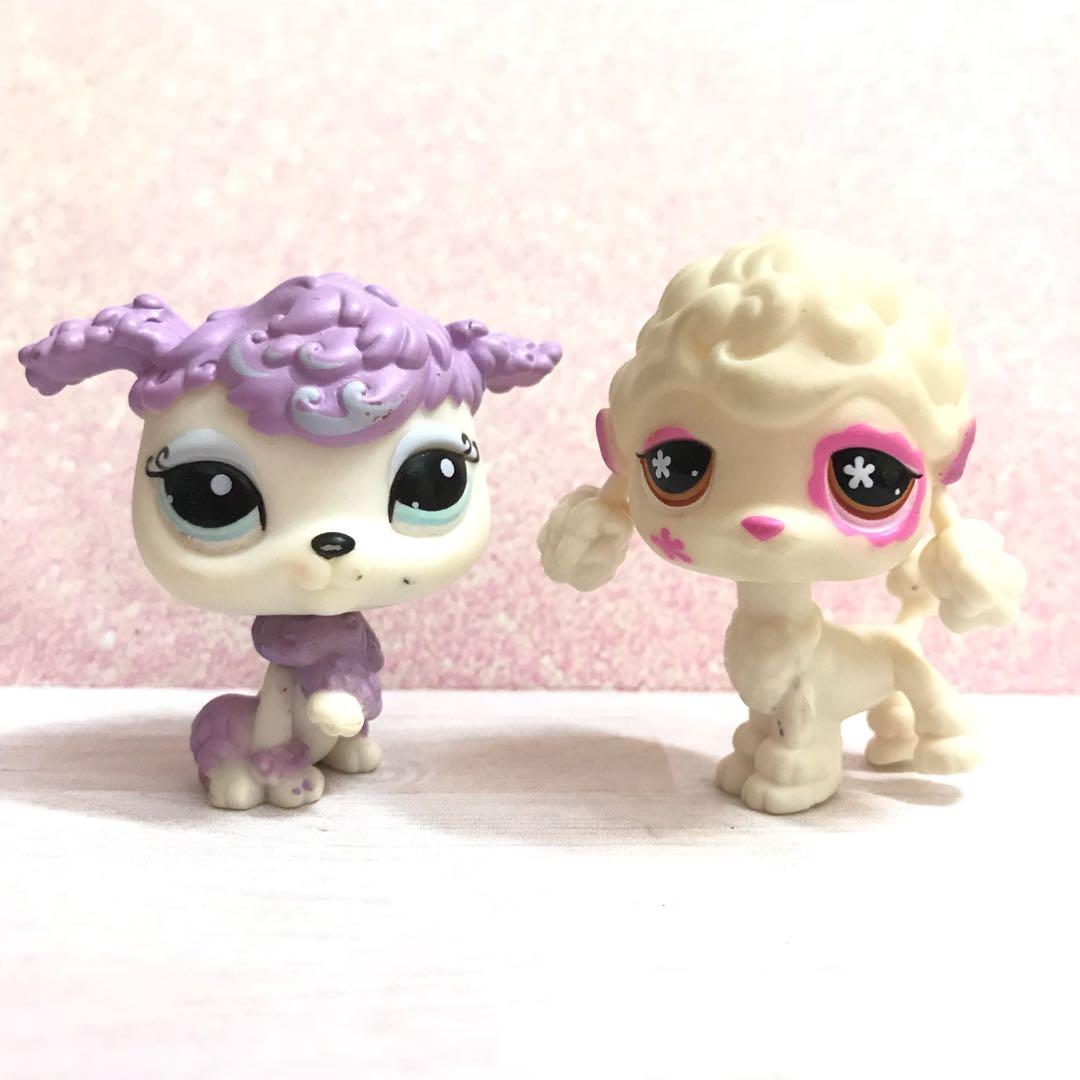 lps poodle