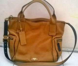 Tas fossil emerson large