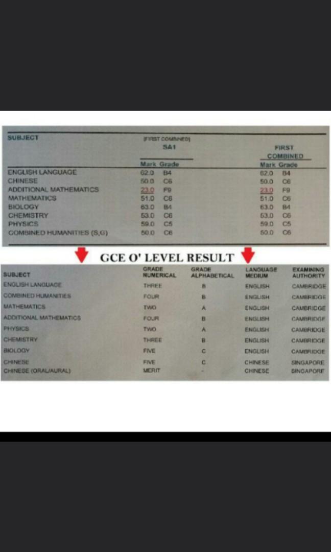 Gce O Level 2018 Physics Chem And E Maths Crash Course Tuition Everything Else On Carousell