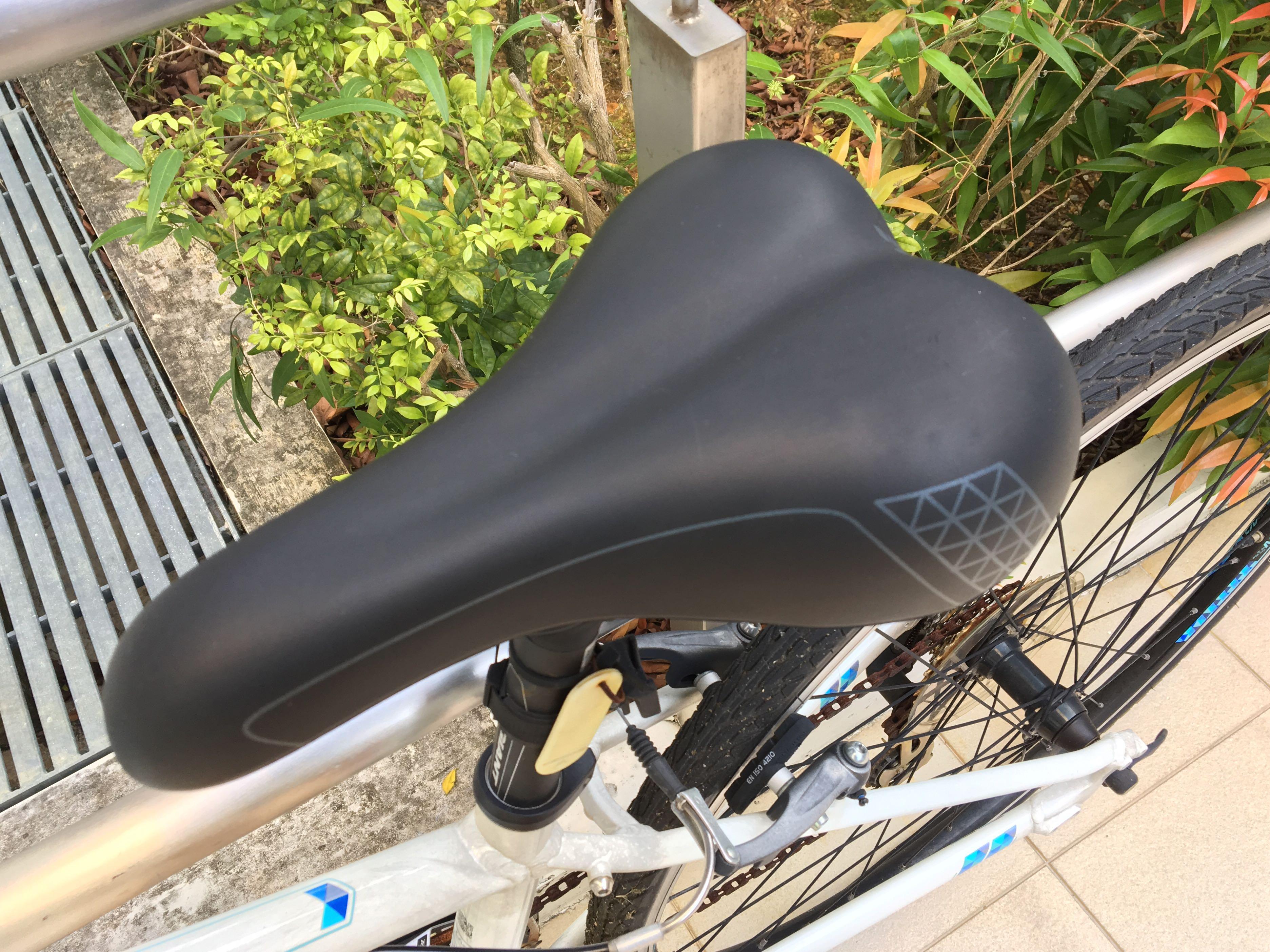 17 ladies bike