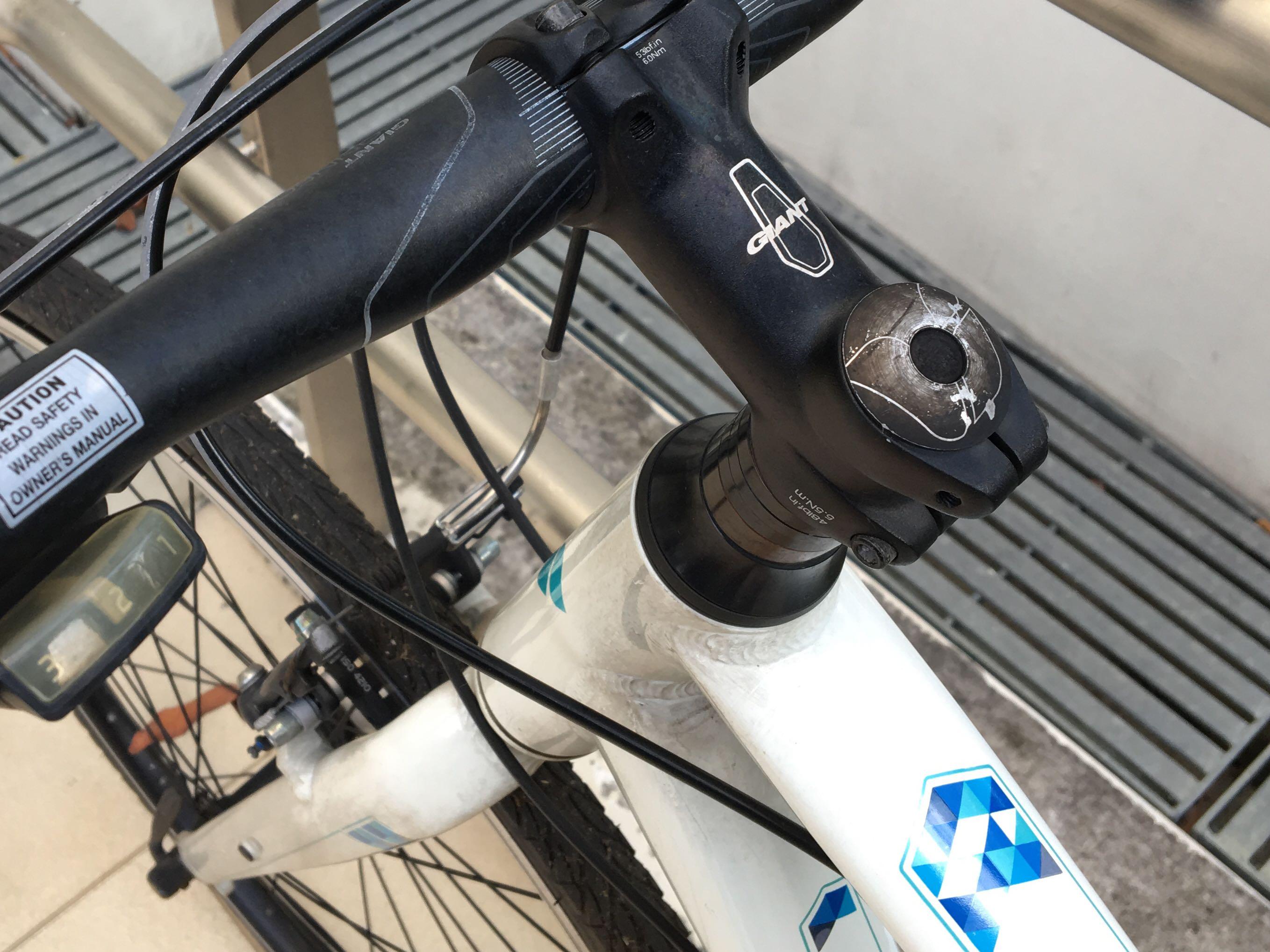 17 ladies bike