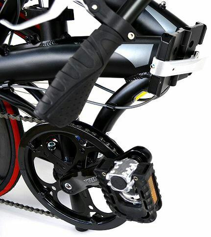 trinx dolphin 2.1