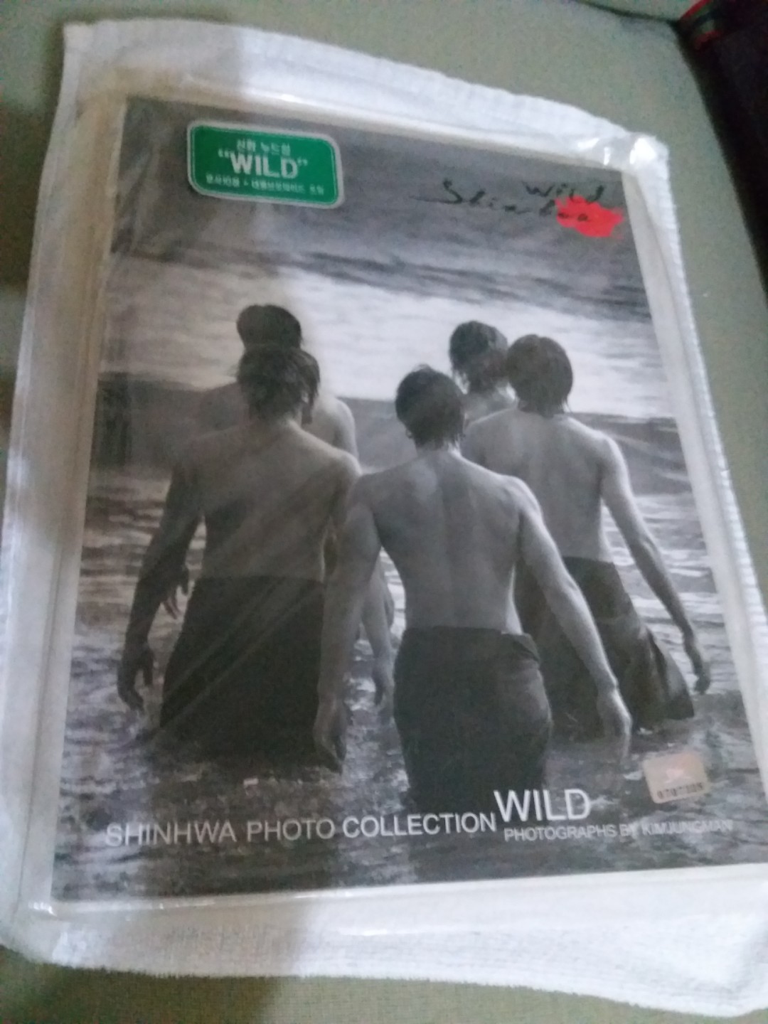 WILD Shinhwa 神話寫真集, 興趣及遊戲, 書本& 文具, 書本及雜誌- 旅遊 ...