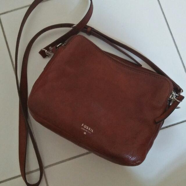 Beg new arrivals fossil original