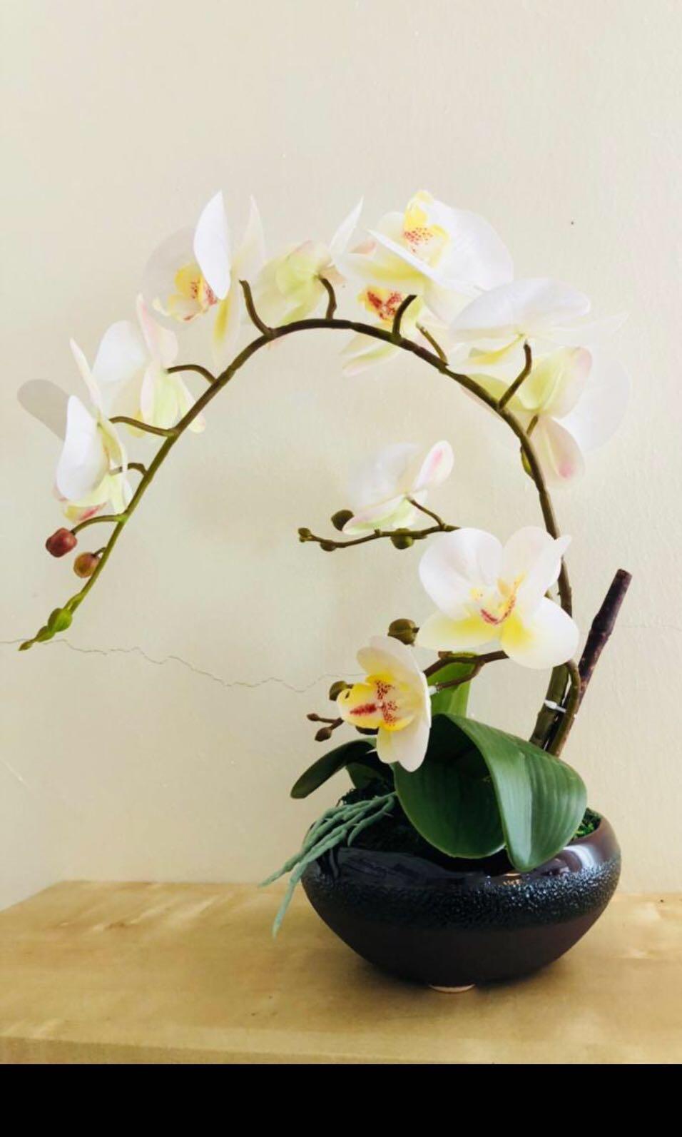 Premium Latex Orchid Home Furniture Home Decor On Carousell