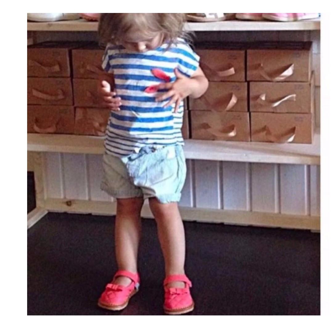 little blue lamb squeaky