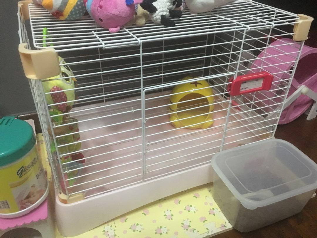 baby rabbit cage