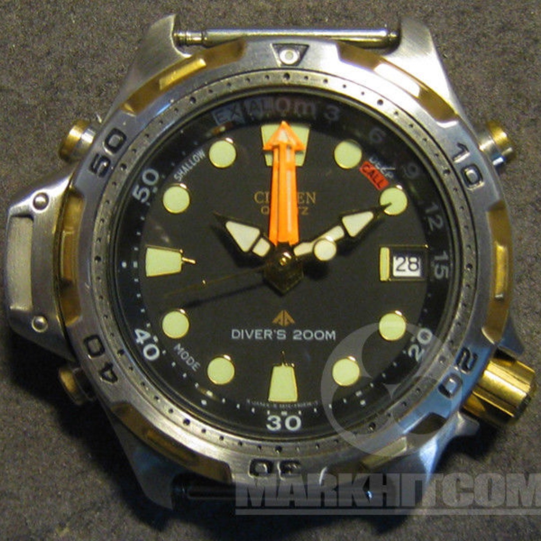 citizen aqualand promaster diver