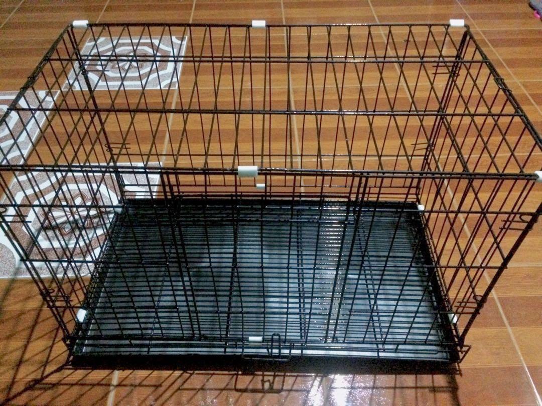 xl pet cage