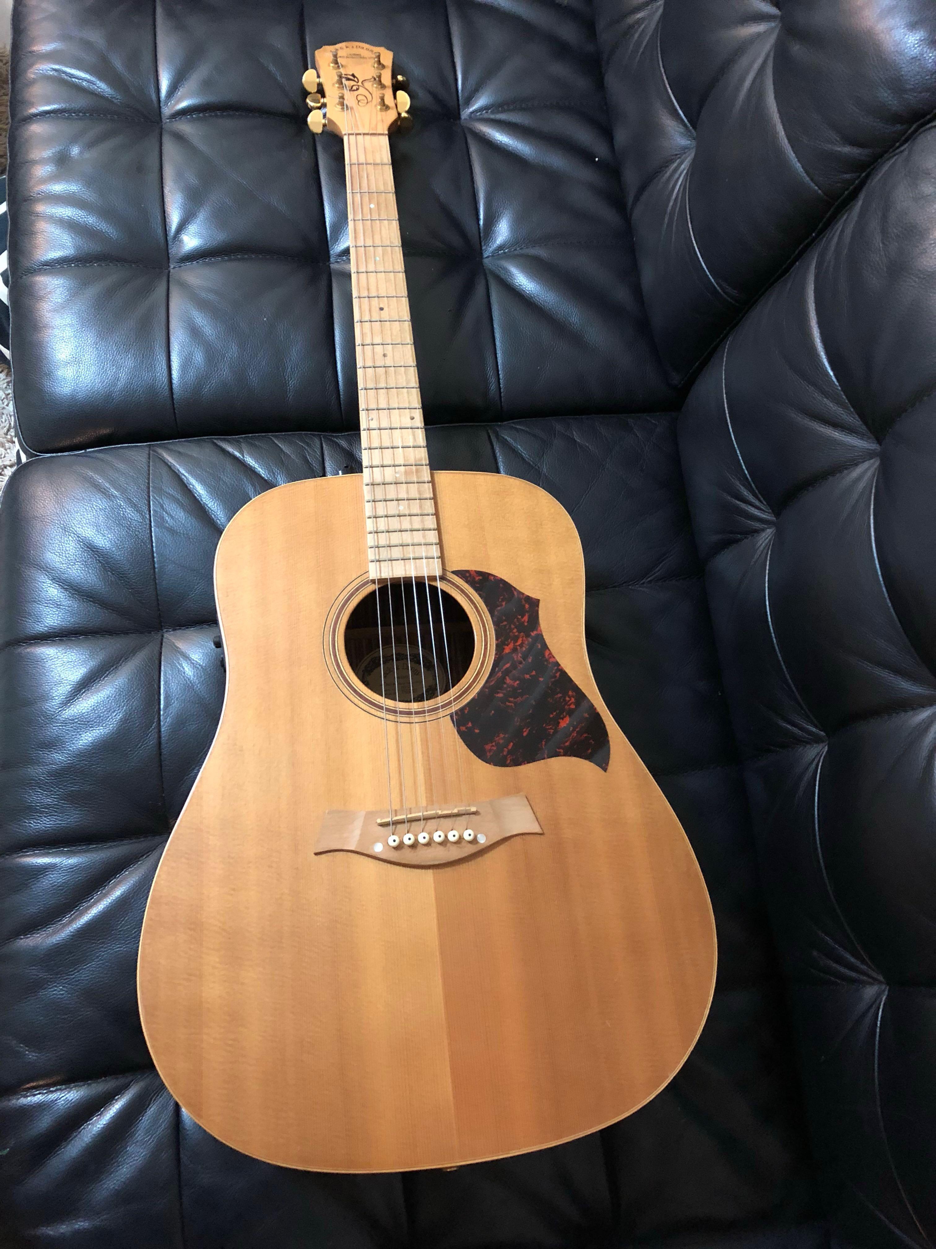 Guitar
