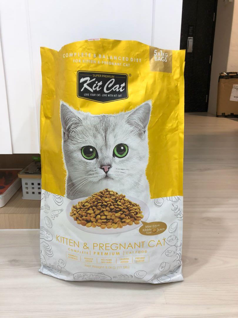Kitcat Kitten Pregnant Cat Pet Supplies For Cats Cat Food On
