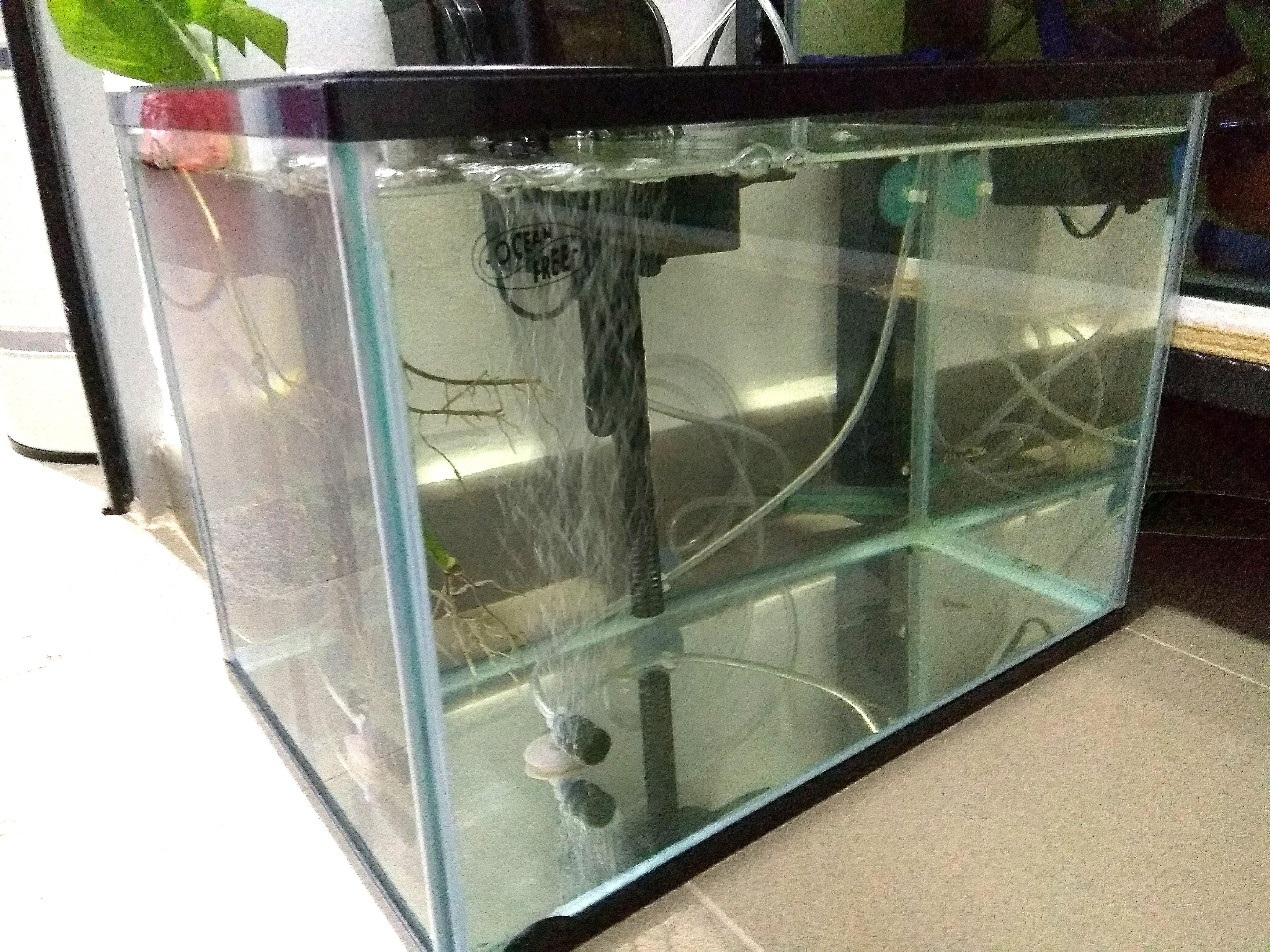 verdund Een nacht Kano Ocean Free 40cm Aquarium Tank + External Filter, Pet Supplies, Homes &  Other Pet Accessories on Carousell