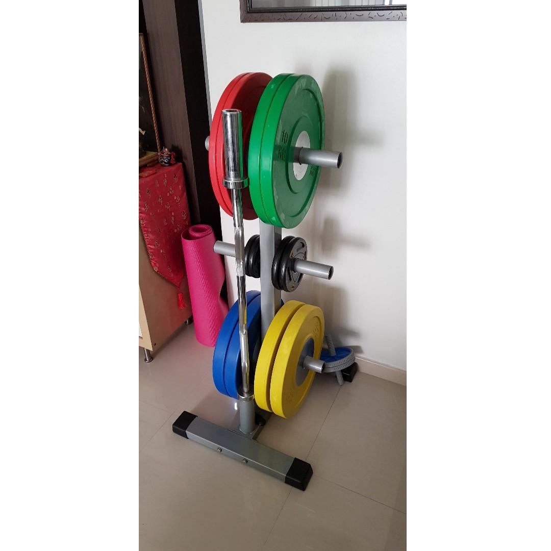 Squat Stand Bench Professional Olympic Bar Ez Curl Bar 100kg Pro Bumper Plates Weight Tree Floor Padding Combo Sports Equipment Exercise Fitness Weights Dumbbells On Carousell