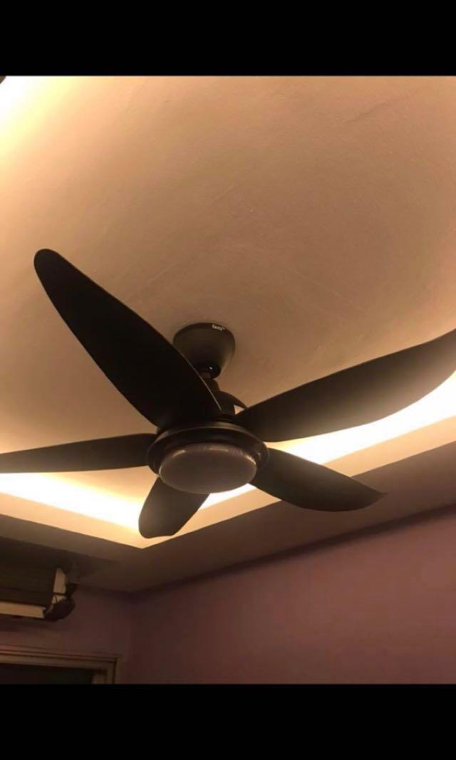 Fanz Ceiling Fan Home Appliances Cooling Air Care On Carousell