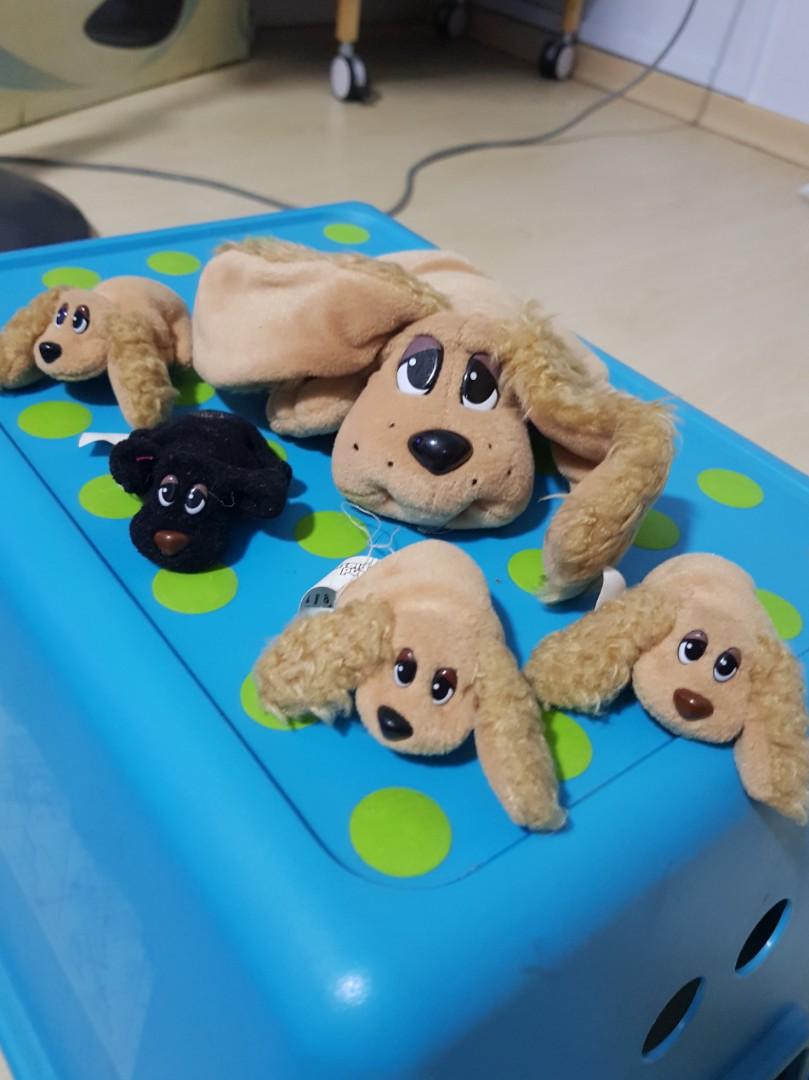 5 sale pound puppy