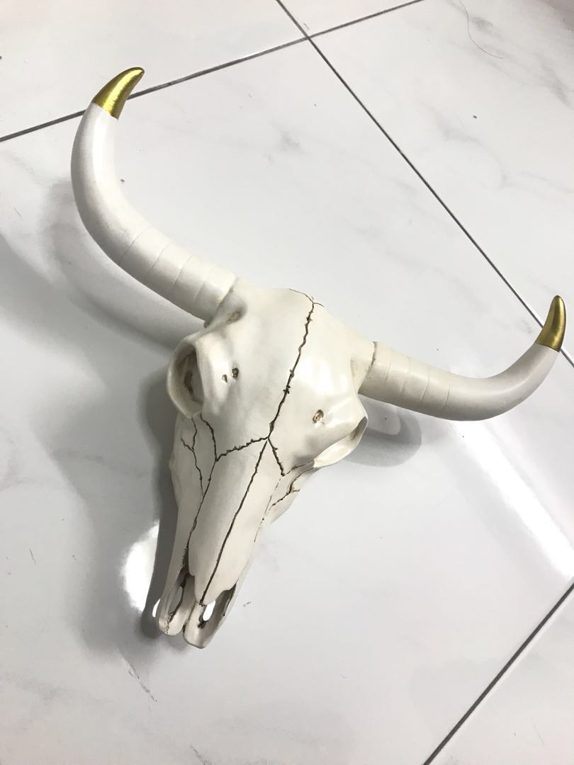 Ram Skull Wall Decor Furniture Home Others On Carou Photo
