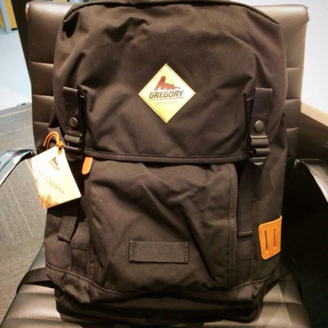 Gregory stinson daypack shop