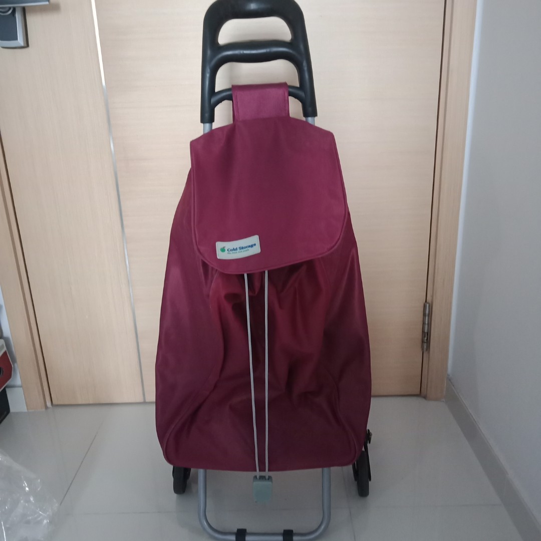 Cold storage trolley bag store
