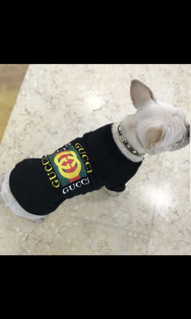 Gucci Gang Dog Shirt (M size), Pet Supplies, Health & Grooming on Carousell