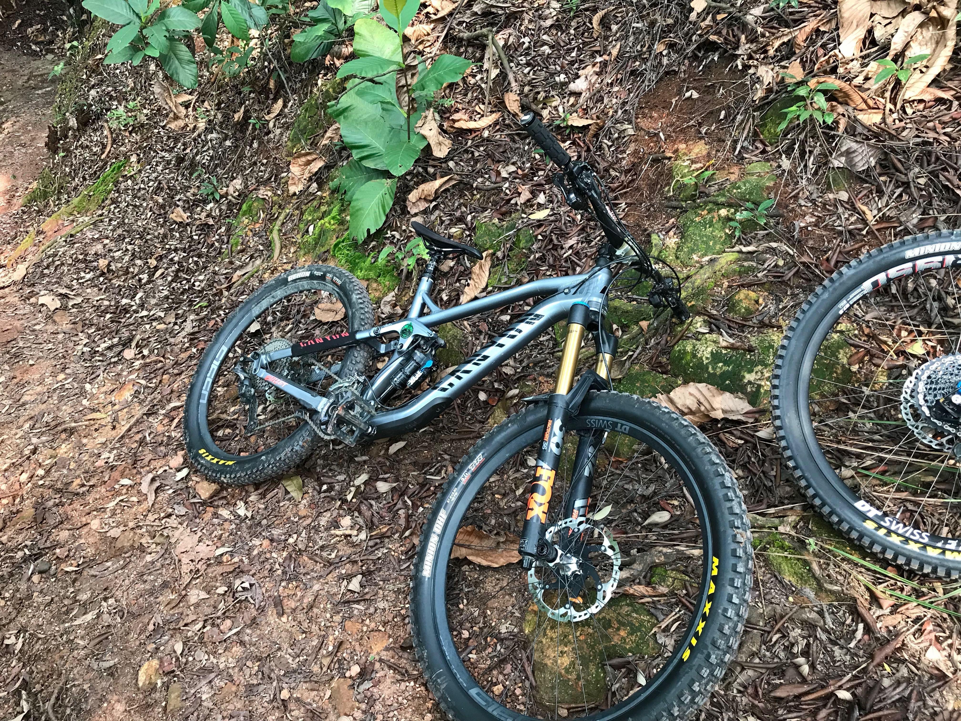 Canyon strive al 6.0 2017 outlet