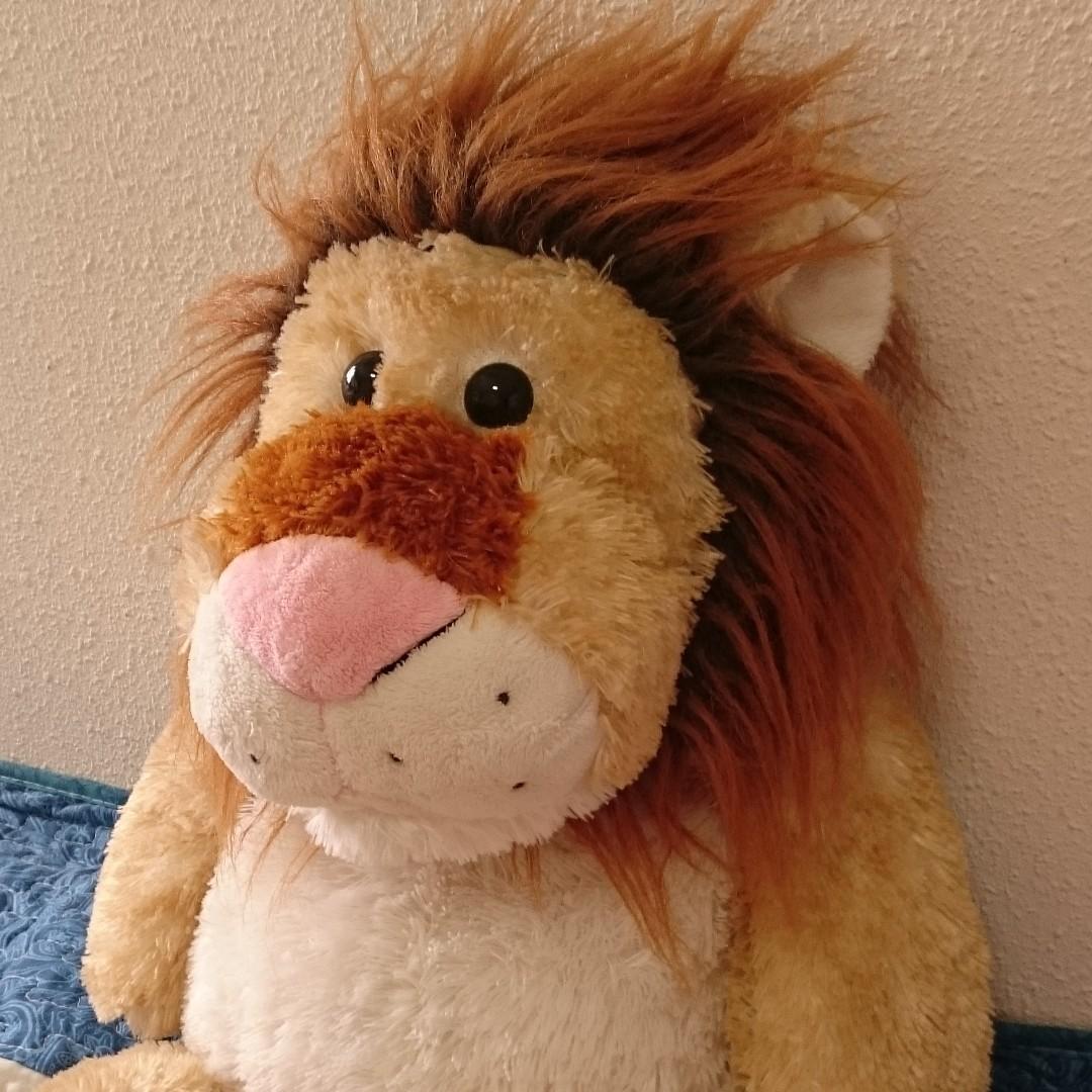 Large lion stuffed toy from Singapore Zoological Gardens, Hobbies