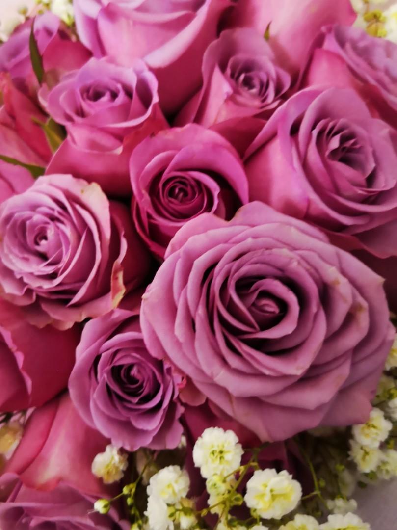 Sale 99 Purple Roses Bouquet Gardening Flowers Bouquets On Carousell