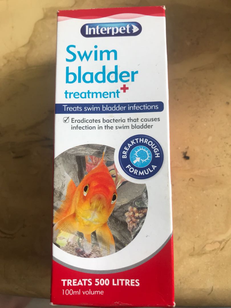 Swim Bladder Treatment Pet Supplies For Fish Fish Food On Carousell