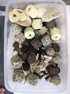 十合一濾材 生物環