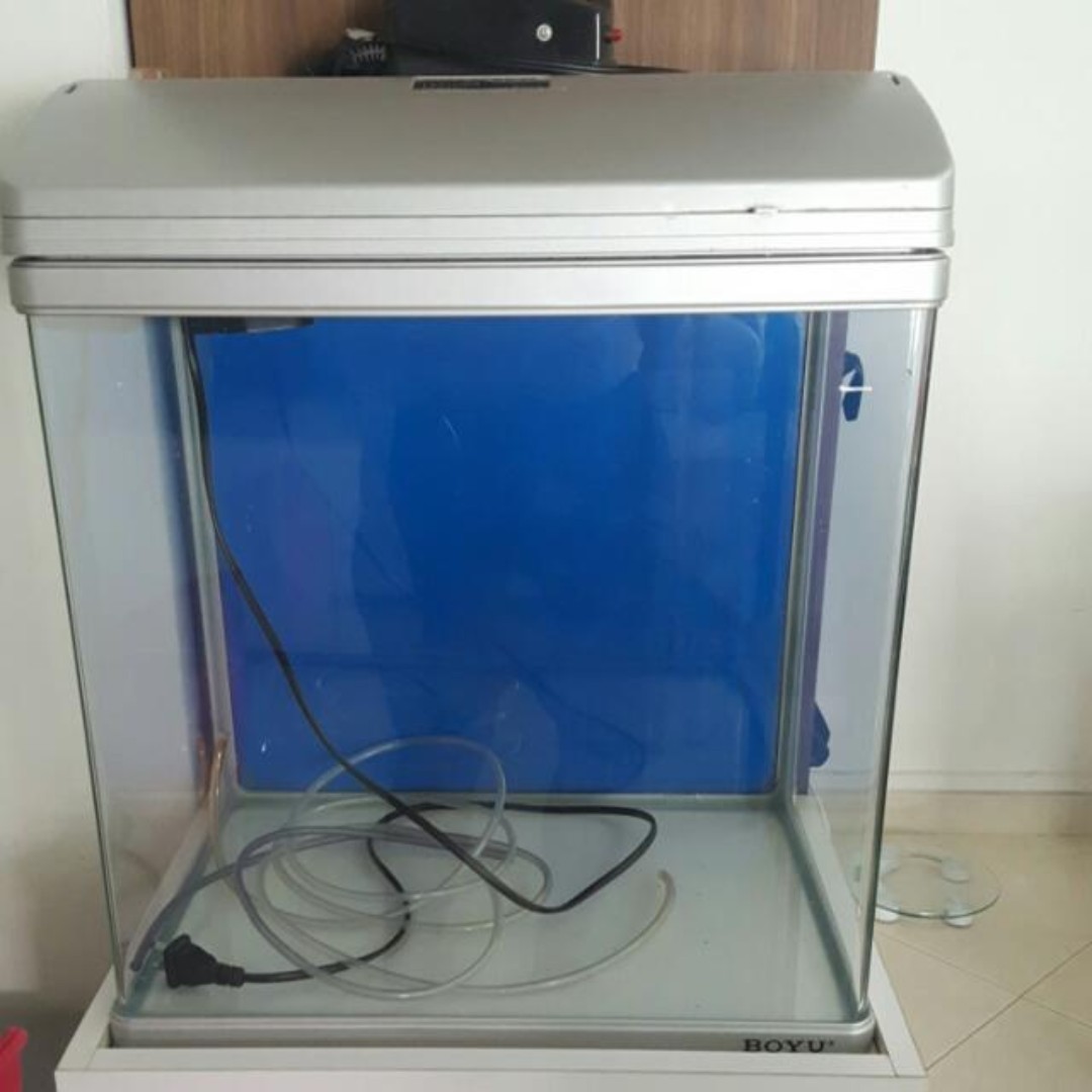 Boyu Fish Tank, Pet Supplies, Homes & Other Pet Accessories on Carousell