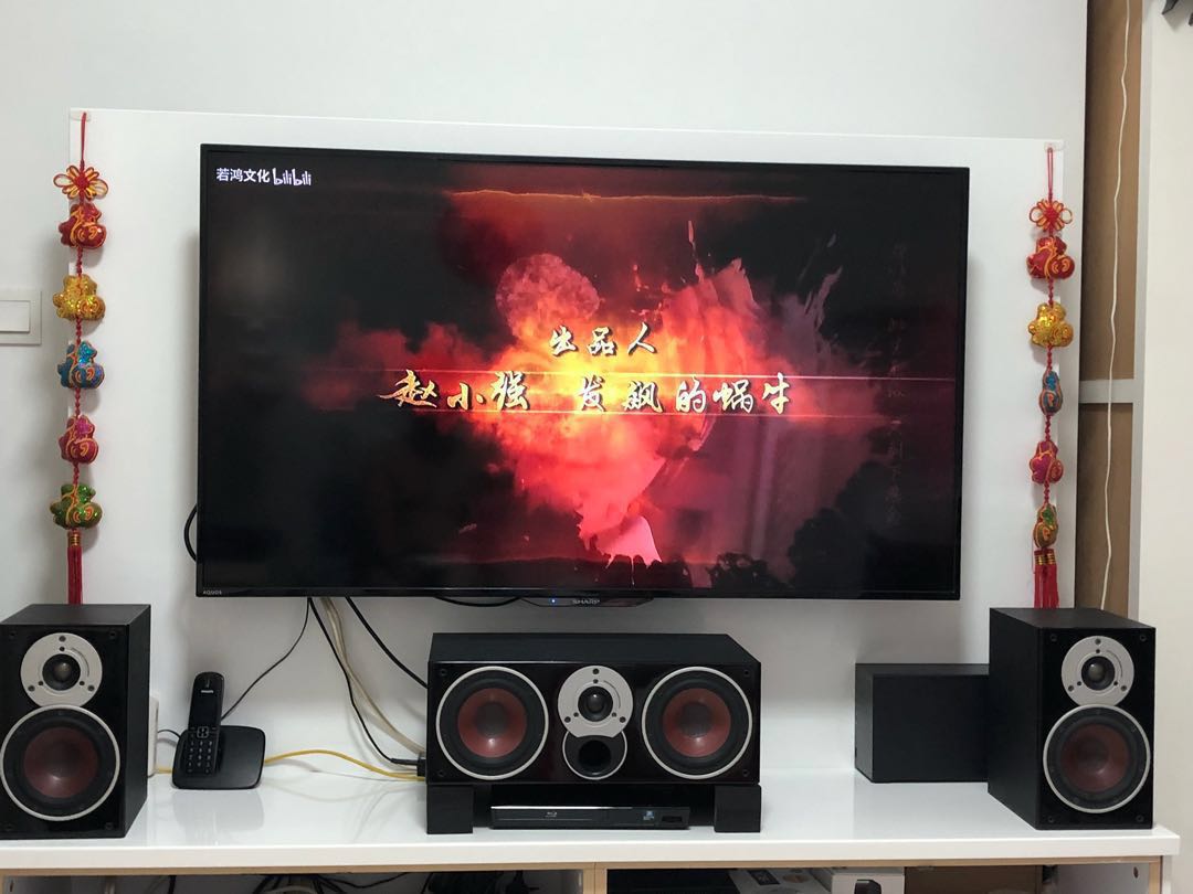 Dali zensor vokal shop centre speaker