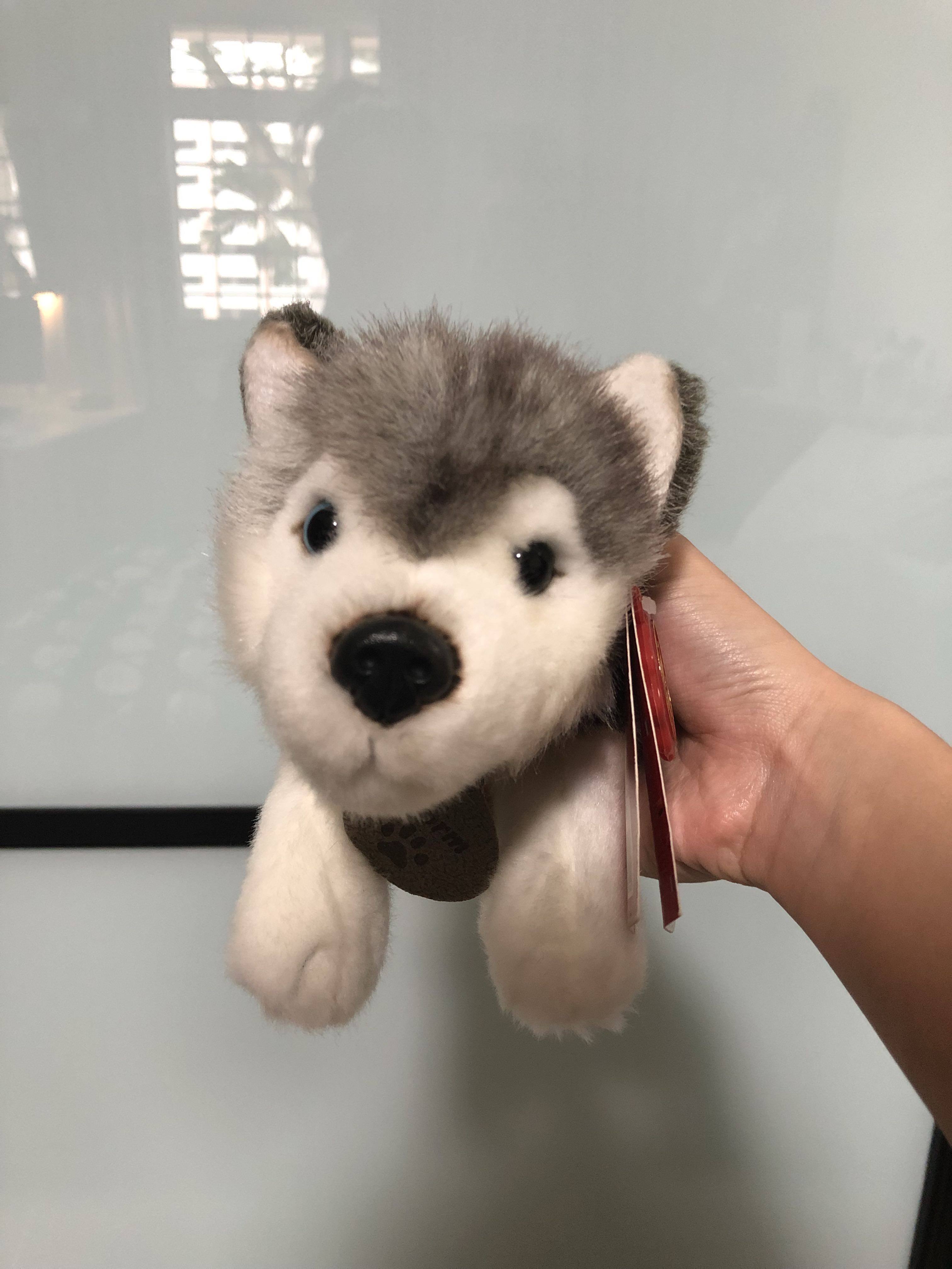 Keel toys storm store husky