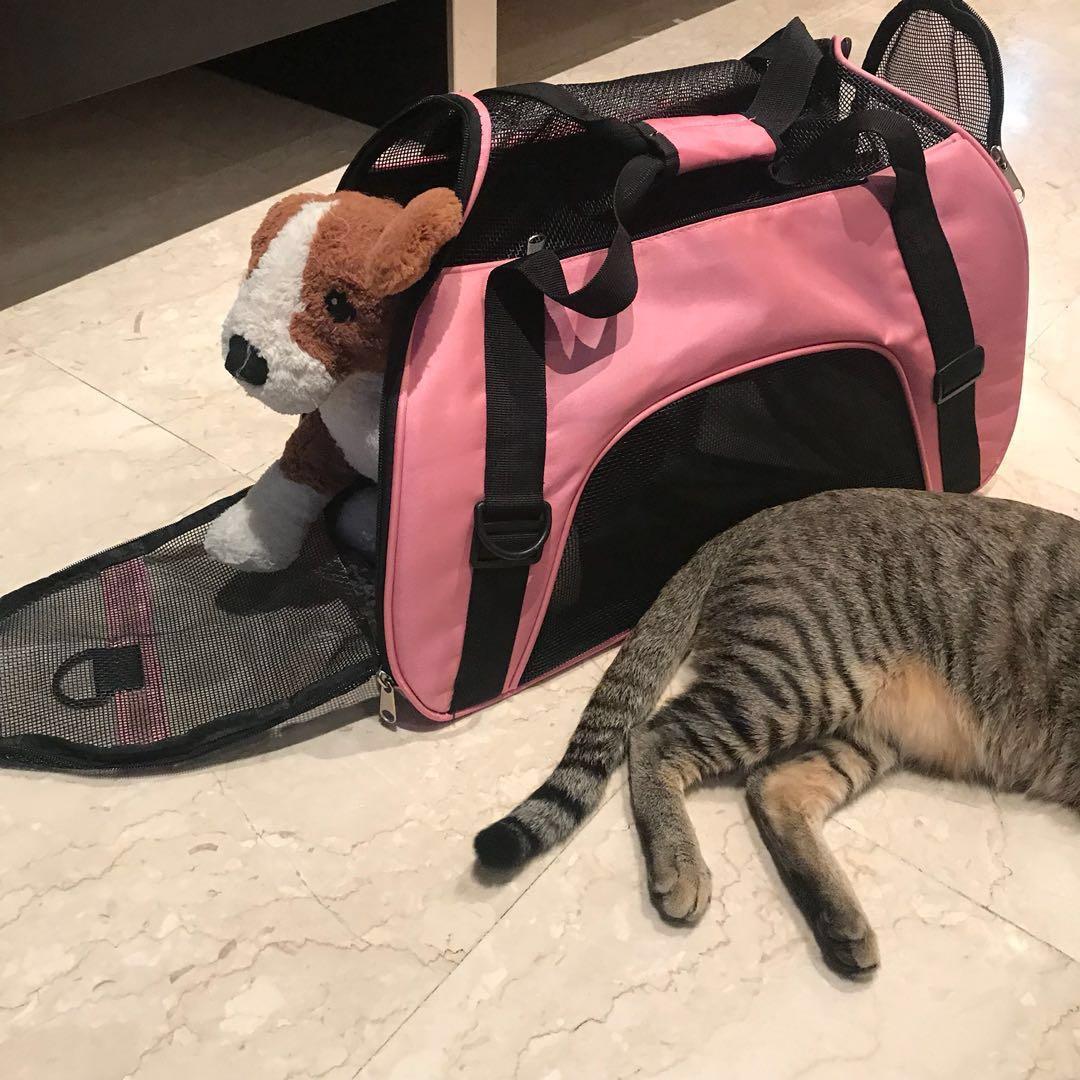 used cat carrier
