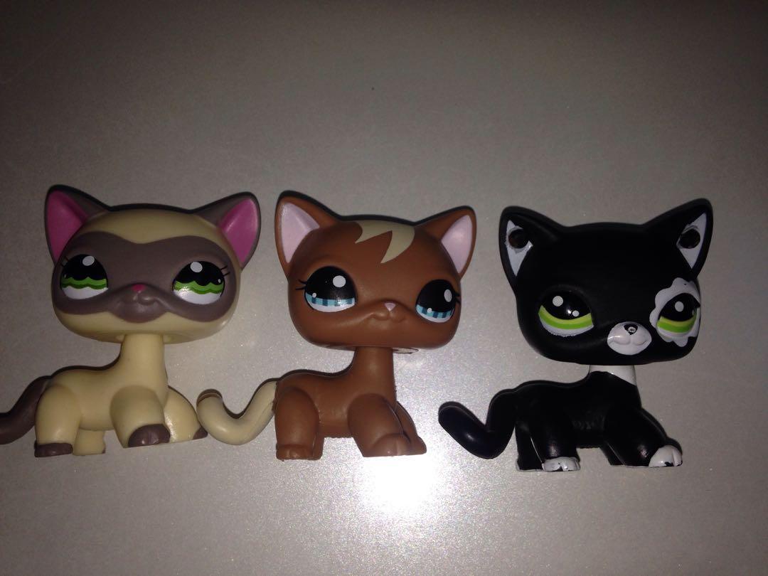 Lps shorthair cat sets 2025
